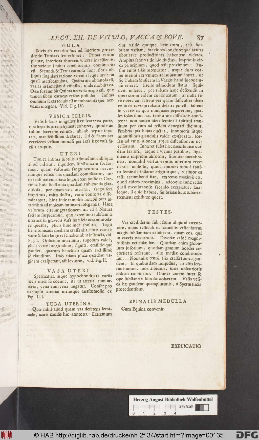 http://diglib.hab.de/drucke/nh-2f-34/00135.jpg