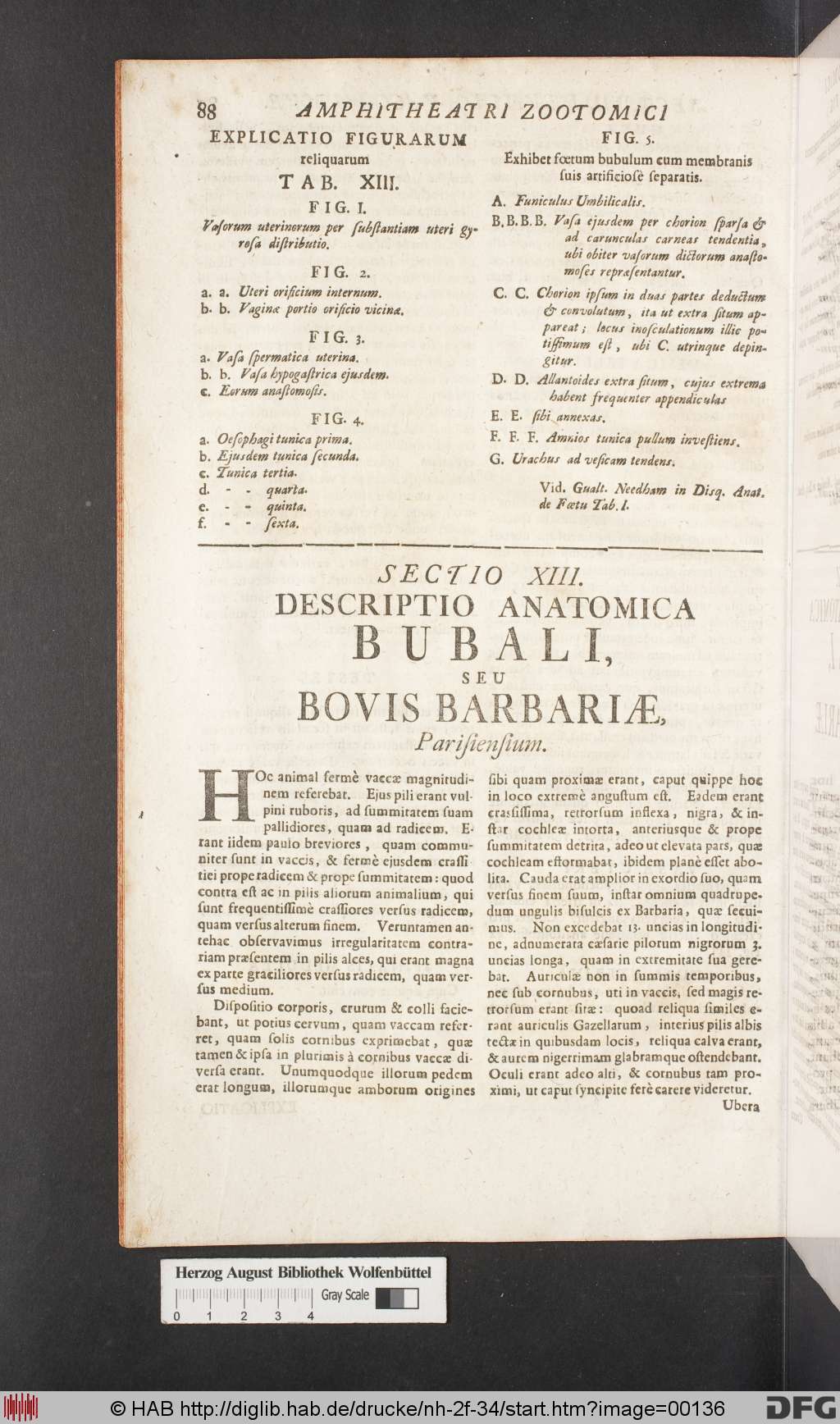 http://diglib.hab.de/drucke/nh-2f-34/00136.jpg