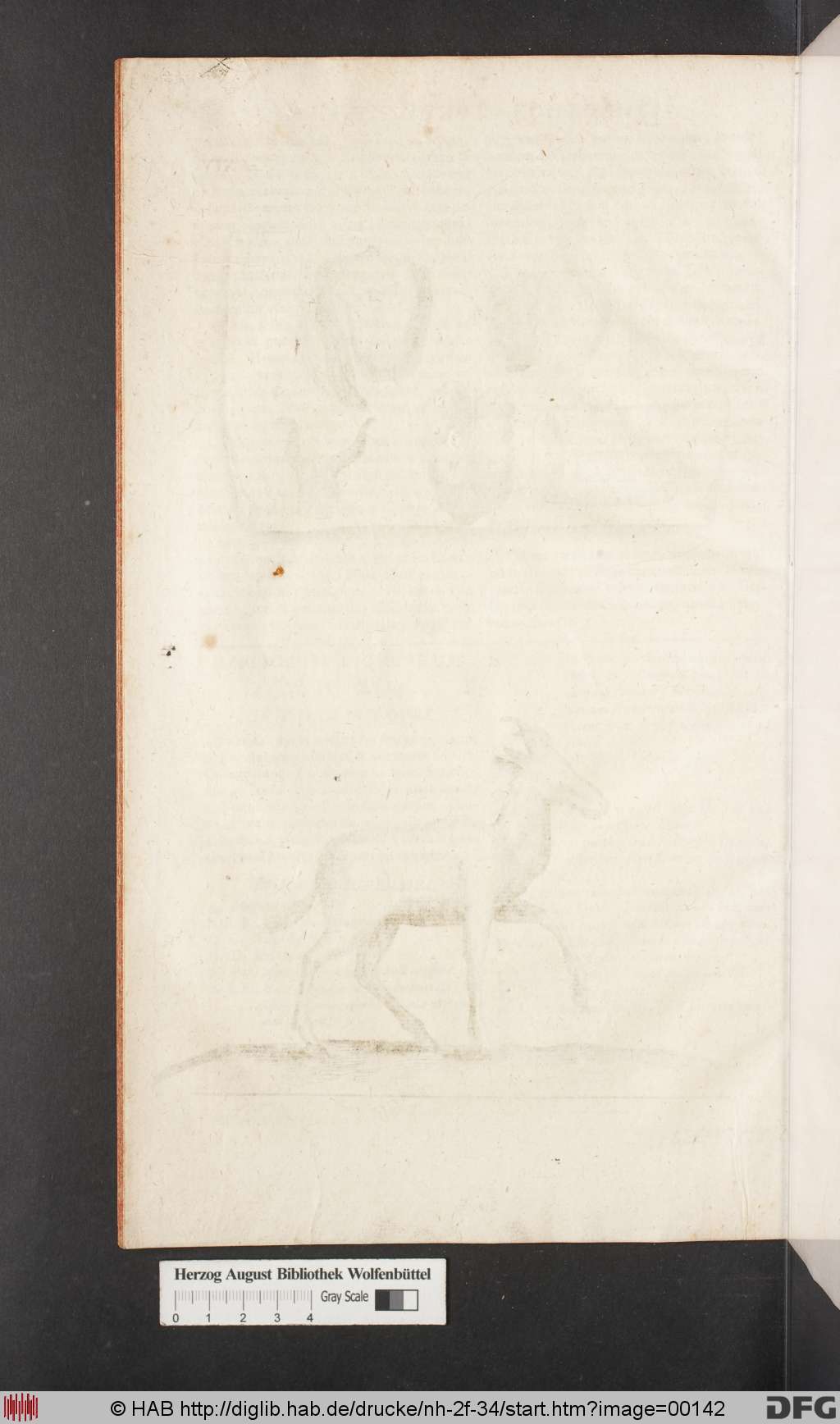 http://diglib.hab.de/drucke/nh-2f-34/00142.jpg