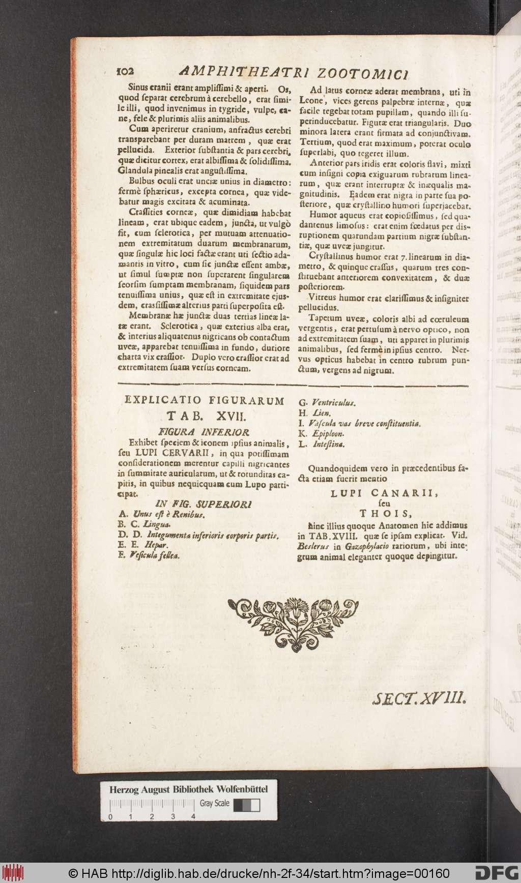 http://diglib.hab.de/drucke/nh-2f-34/00160.jpg