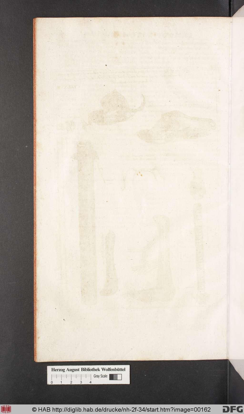 http://diglib.hab.de/drucke/nh-2f-34/00162.jpg