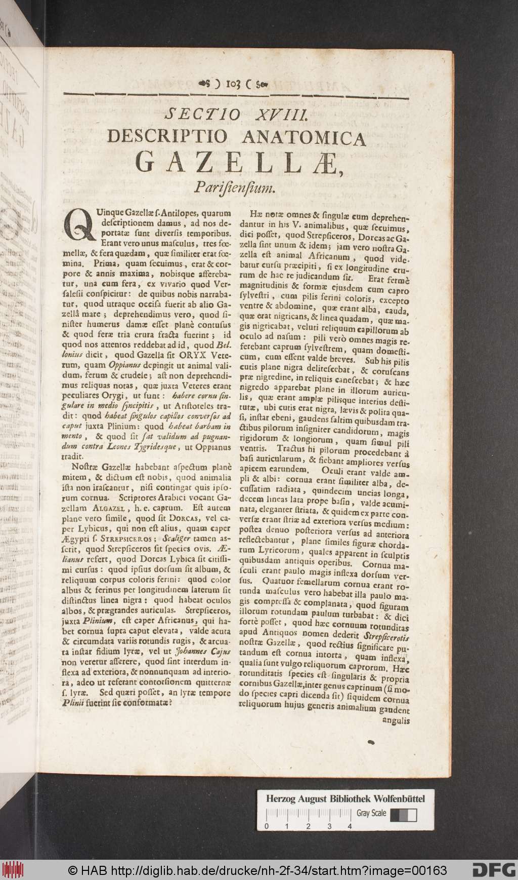 http://diglib.hab.de/drucke/nh-2f-34/00163.jpg