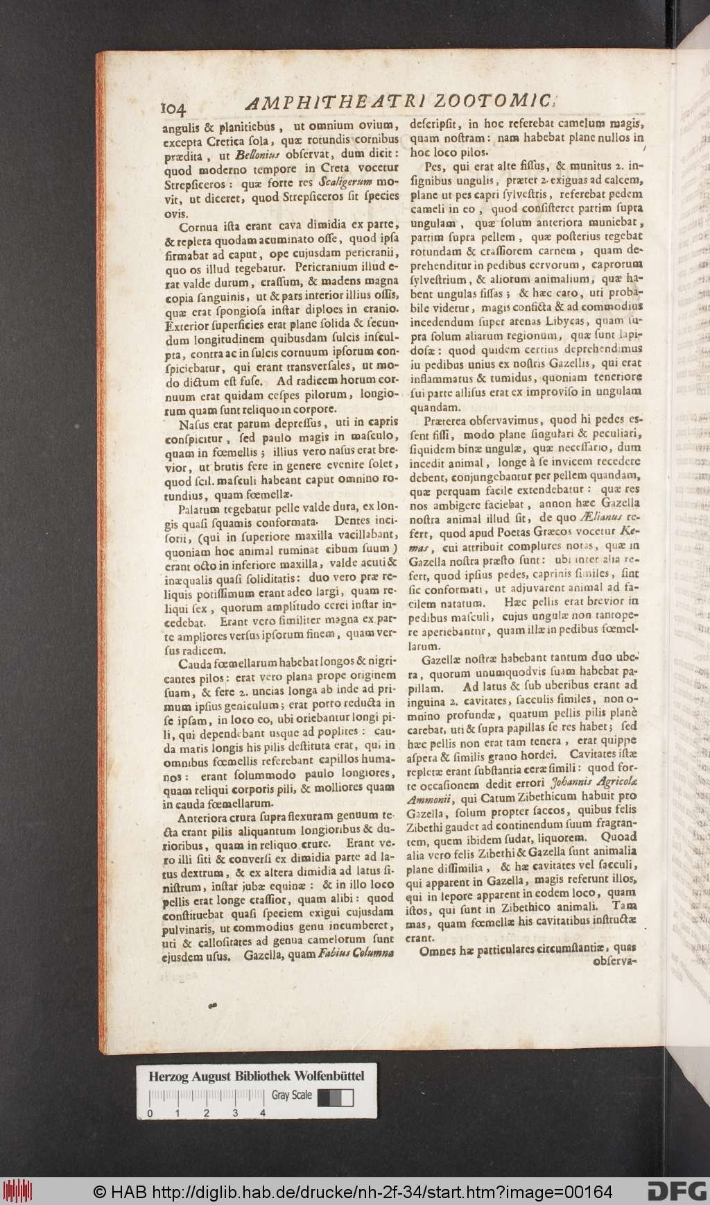 http://diglib.hab.de/drucke/nh-2f-34/00164.jpg