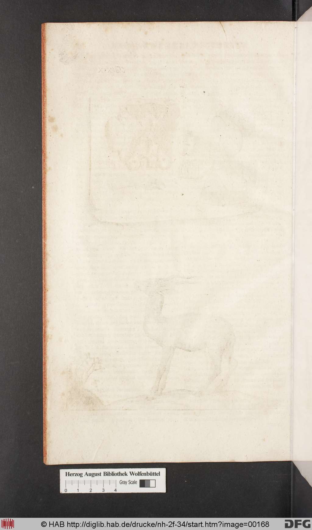 http://diglib.hab.de/drucke/nh-2f-34/00168.jpg