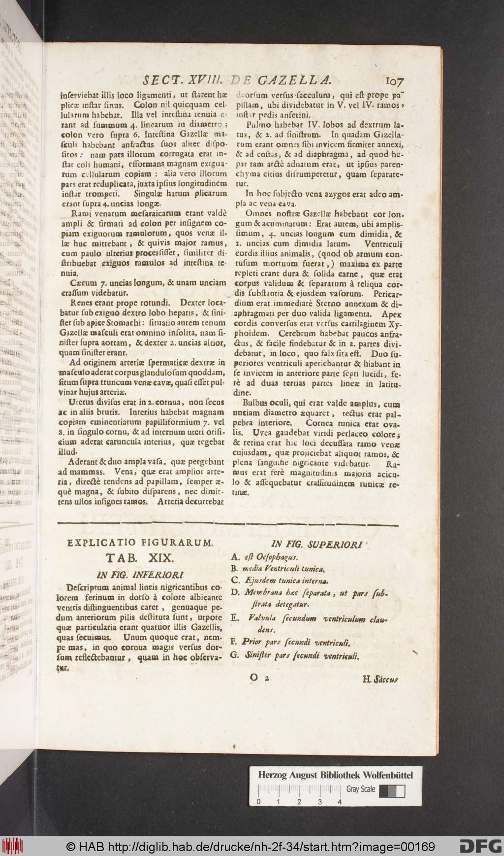 http://diglib.hab.de/drucke/nh-2f-34/00169.jpg