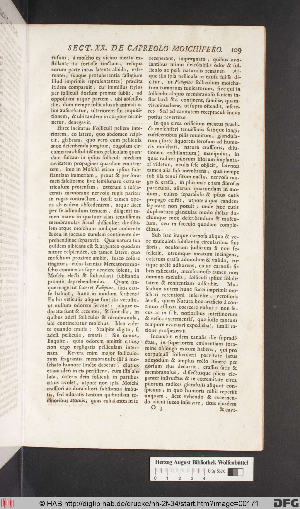 http://diglib.hab.de/drucke/nh-2f-34/00171.jpg