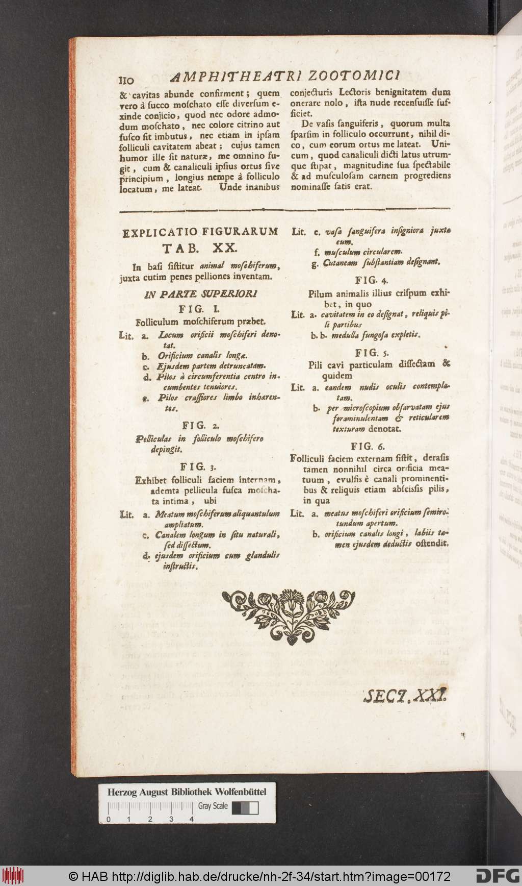 http://diglib.hab.de/drucke/nh-2f-34/00172.jpg