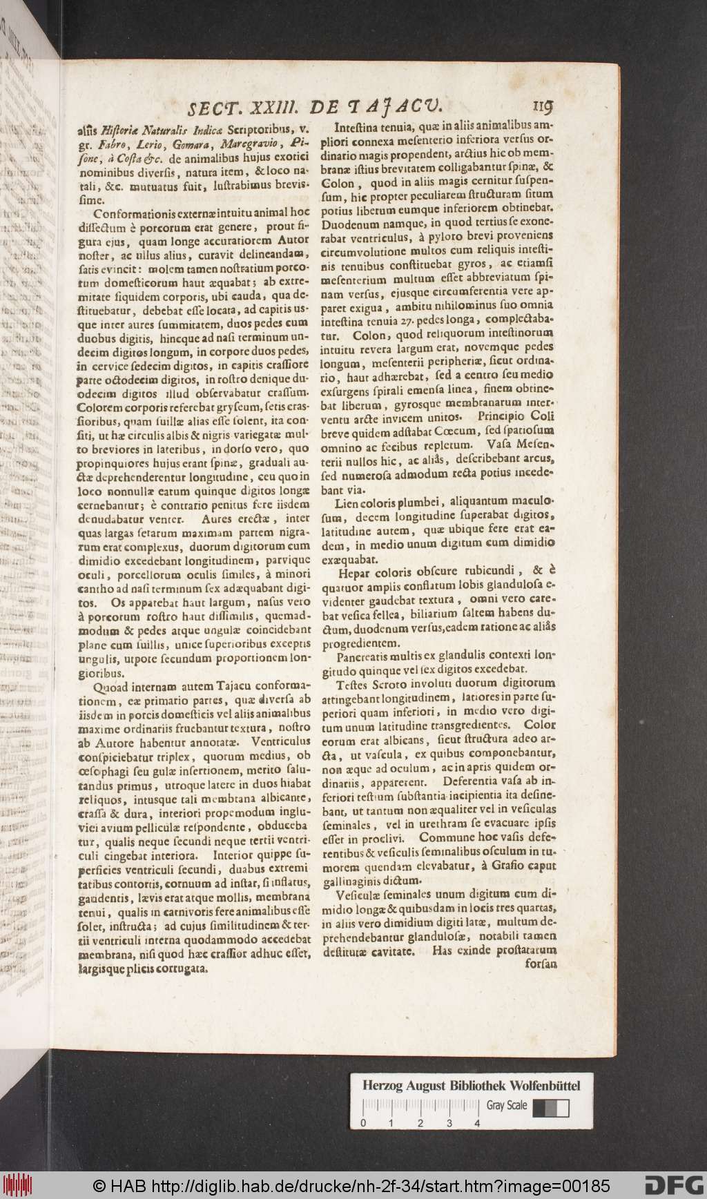 http://diglib.hab.de/drucke/nh-2f-34/00185.jpg