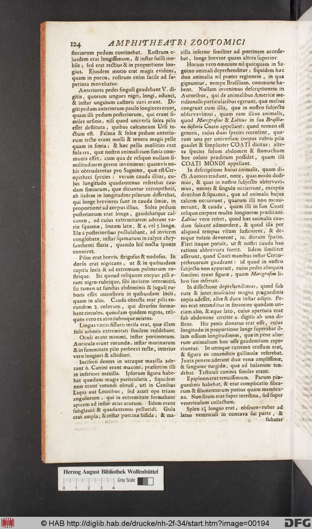 http://diglib.hab.de/drucke/nh-2f-34/00194.jpg