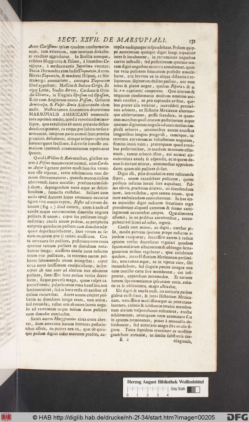 http://diglib.hab.de/drucke/nh-2f-34/00205.jpg