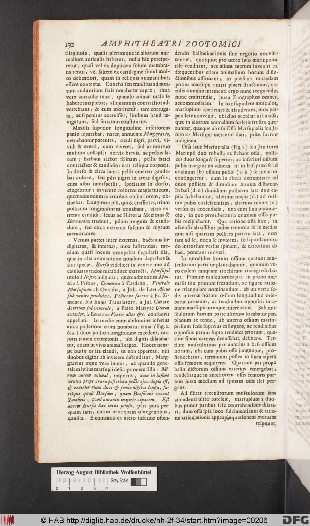 http://diglib.hab.de/drucke/nh-2f-34/00206.jpg