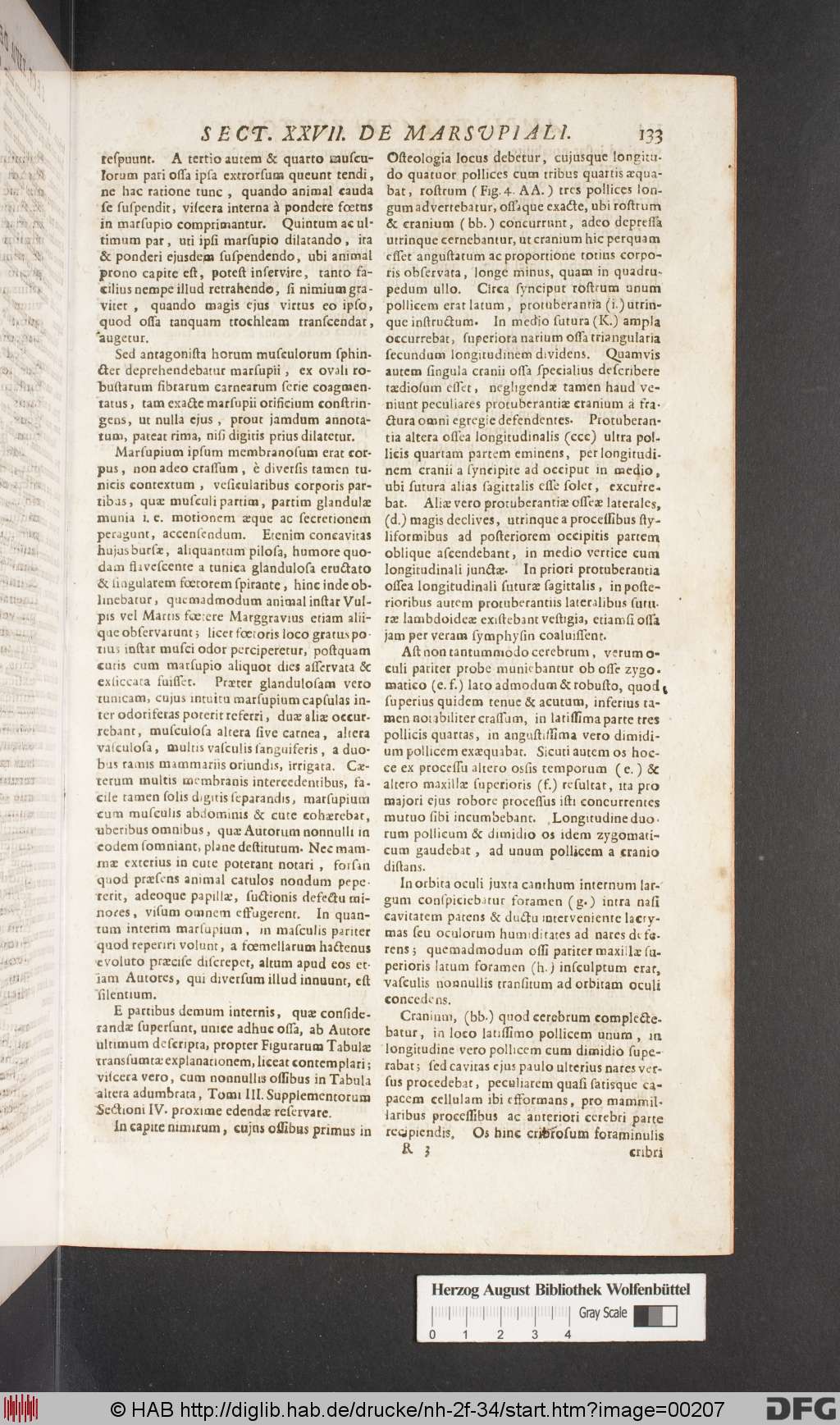 http://diglib.hab.de/drucke/nh-2f-34/00207.jpg
