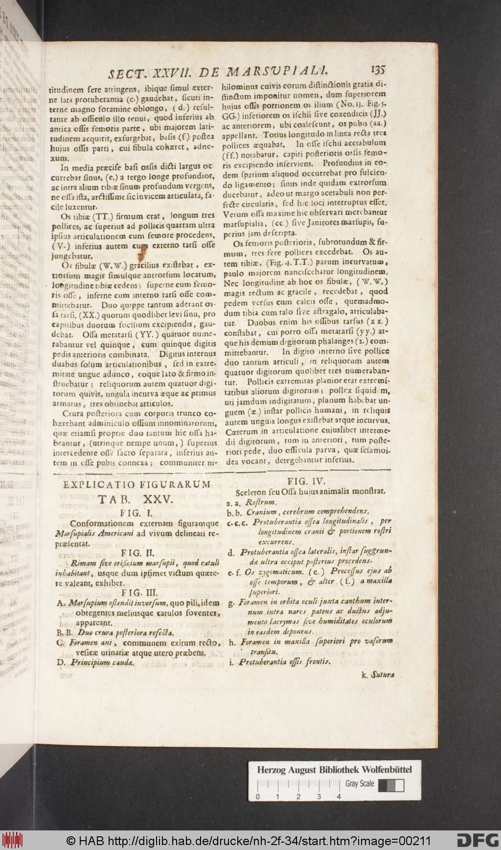 http://diglib.hab.de/drucke/nh-2f-34/00211.jpg