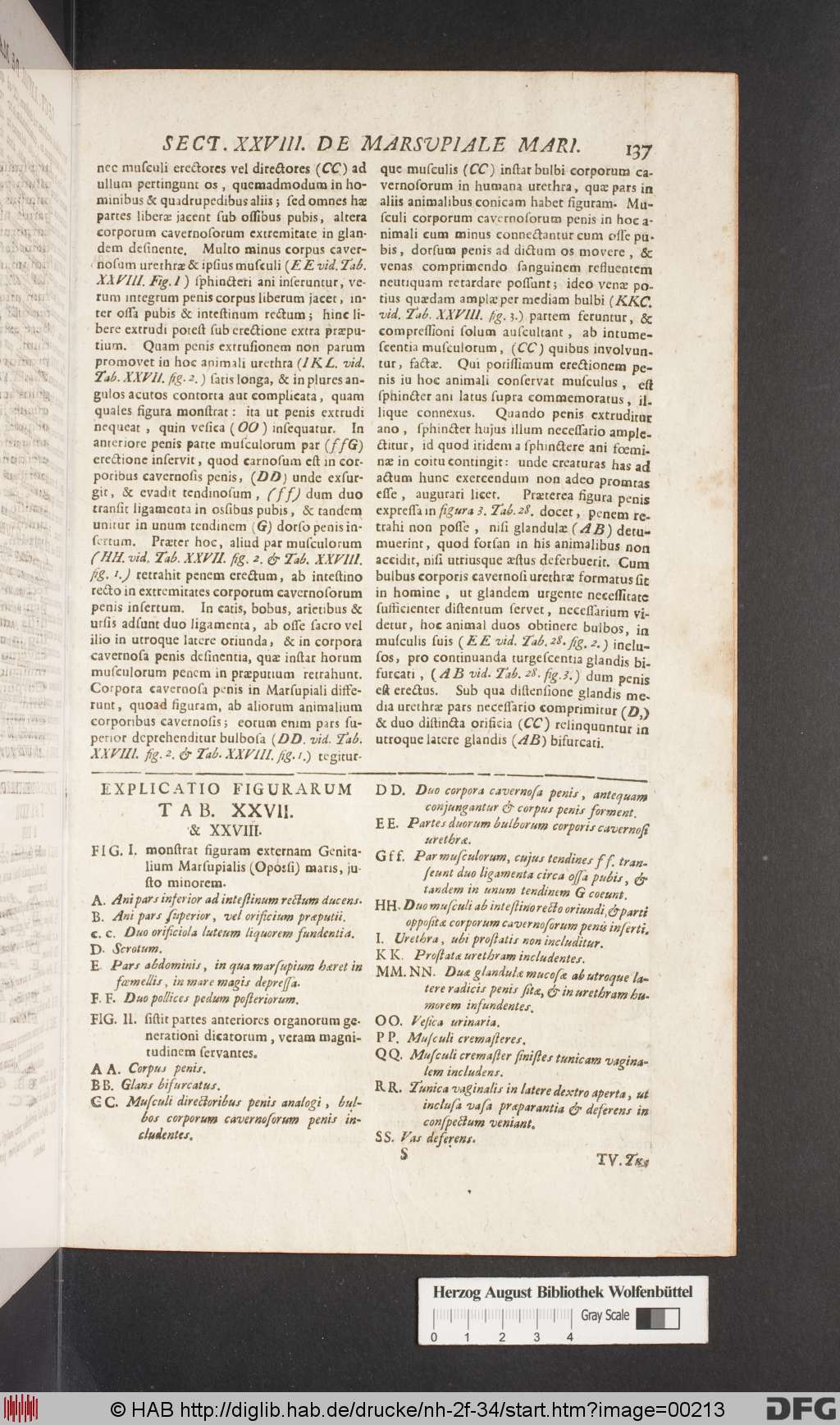 http://diglib.hab.de/drucke/nh-2f-34/00213.jpg