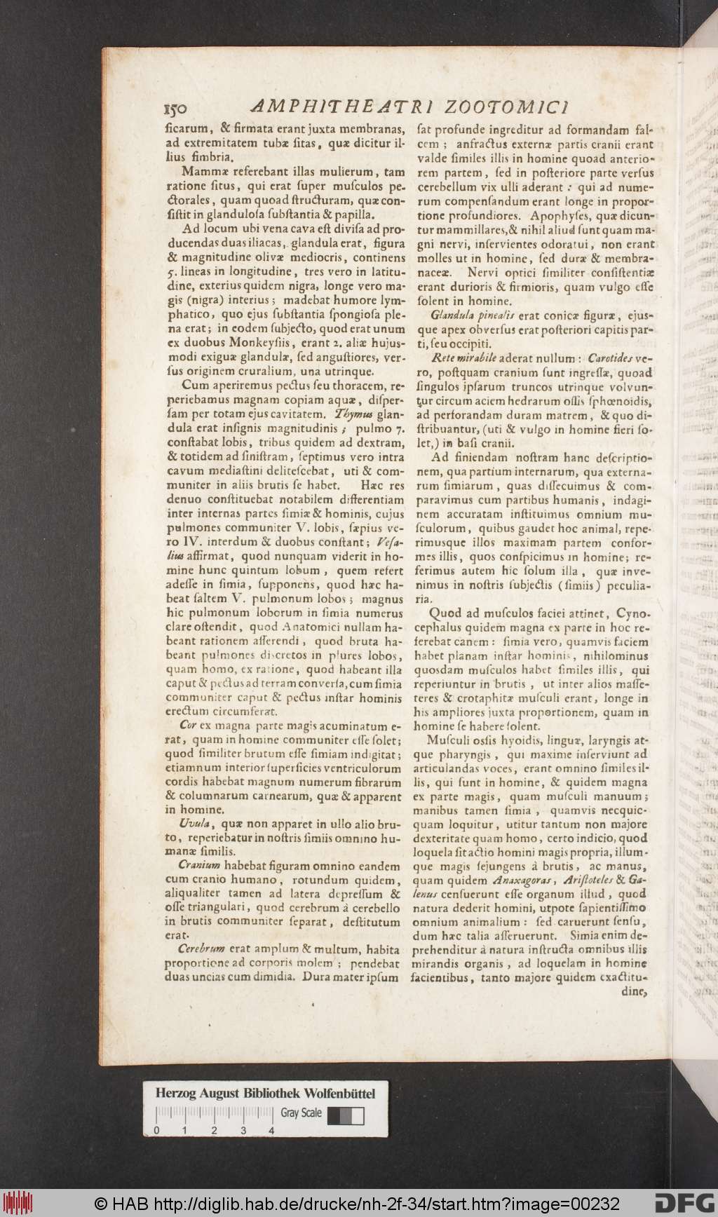 http://diglib.hab.de/drucke/nh-2f-34/00232.jpg