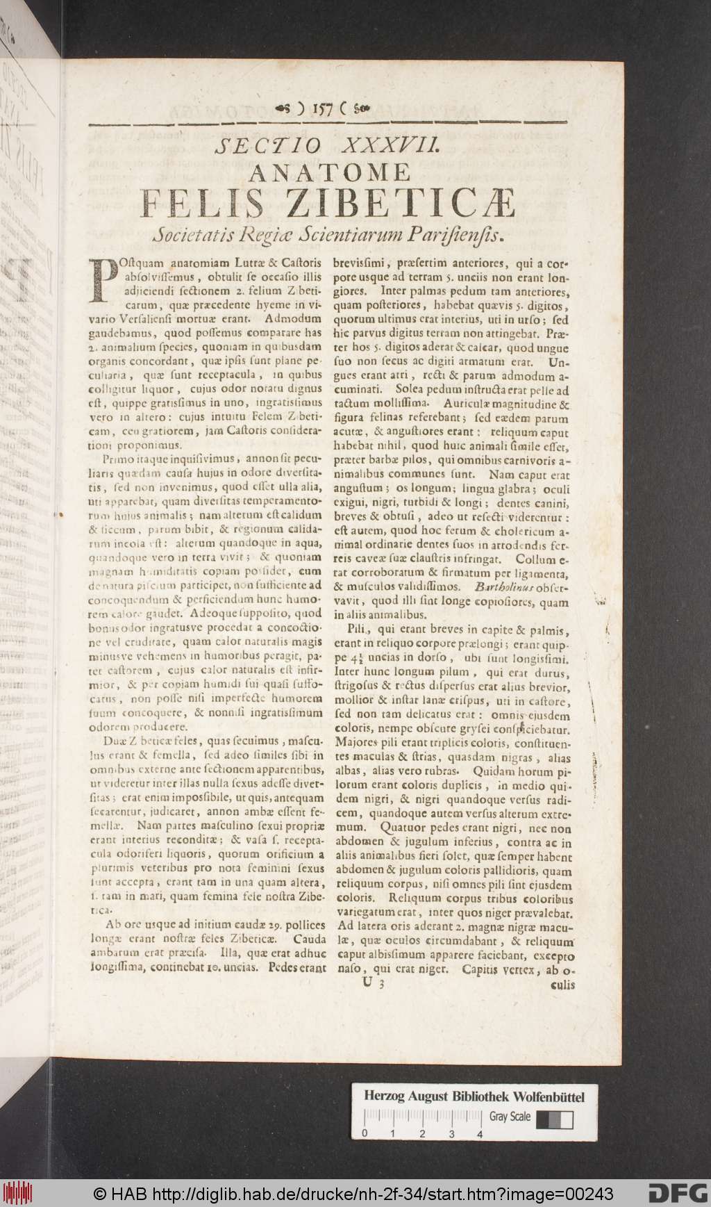 http://diglib.hab.de/drucke/nh-2f-34/00243.jpg