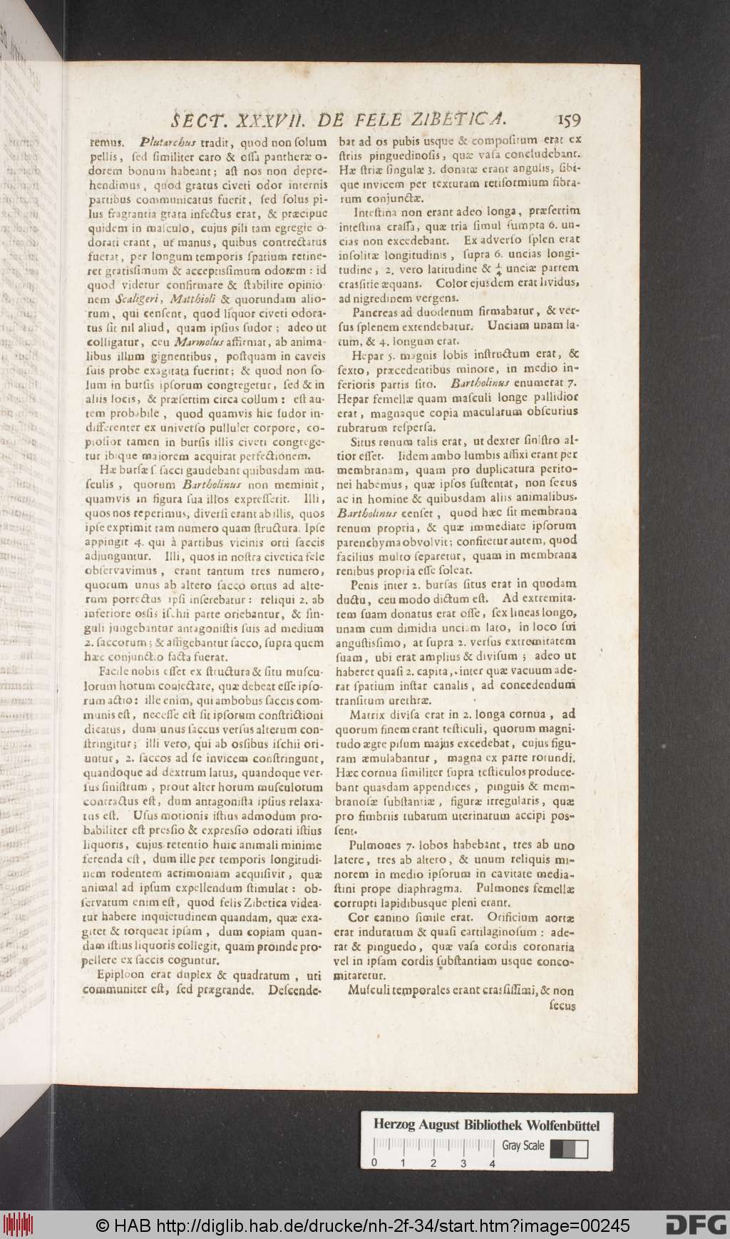http://diglib.hab.de/drucke/nh-2f-34/00245.jpg