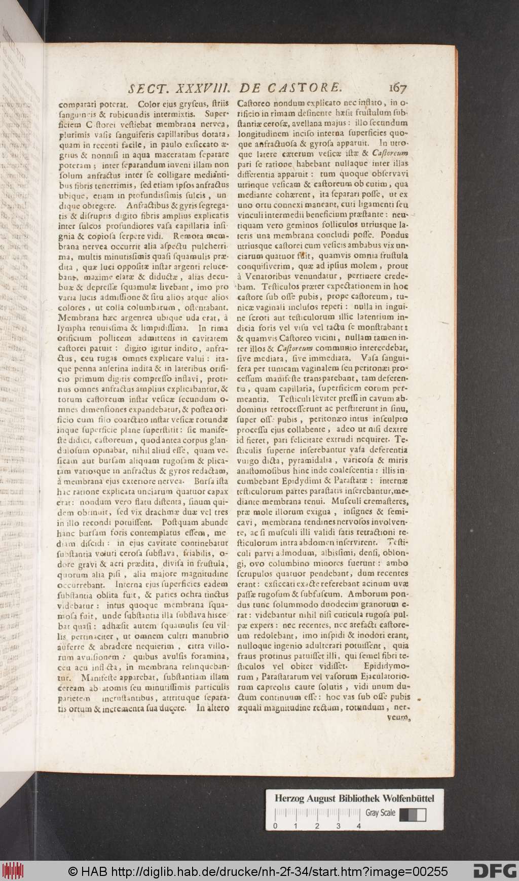 http://diglib.hab.de/drucke/nh-2f-34/00255.jpg
