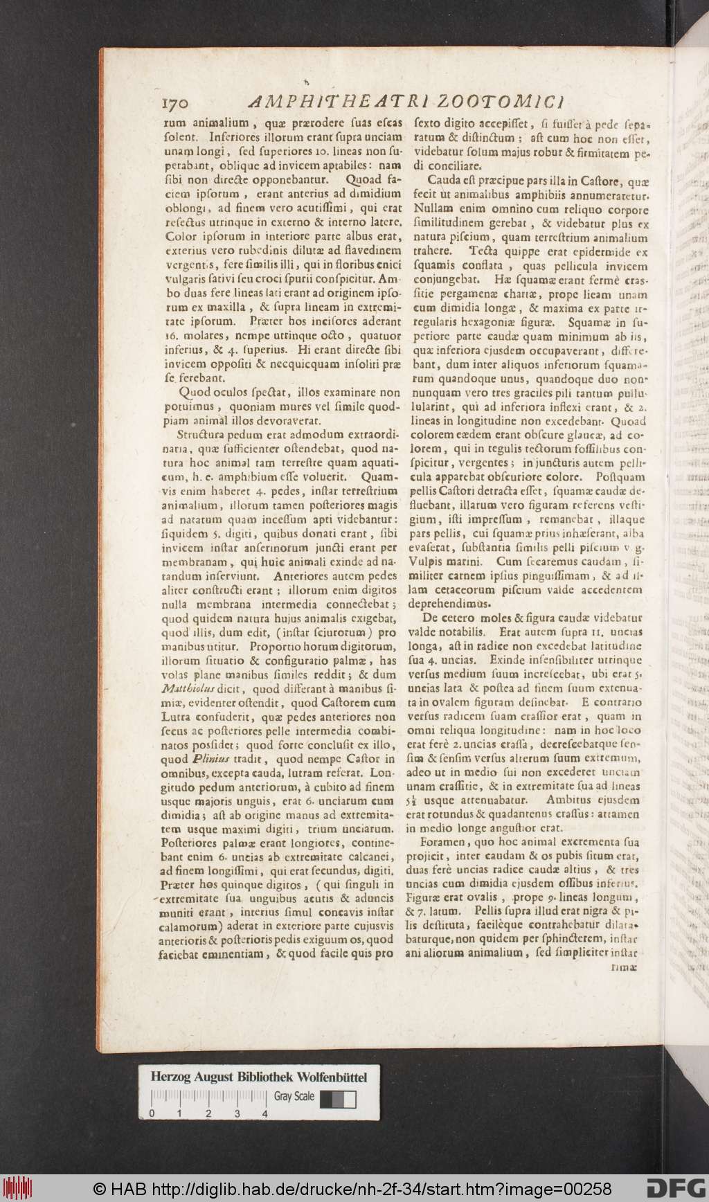 http://diglib.hab.de/drucke/nh-2f-34/00258.jpg