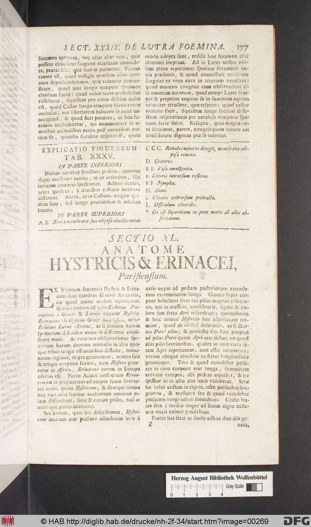 http://diglib.hab.de/drucke/nh-2f-34/00269.jpg