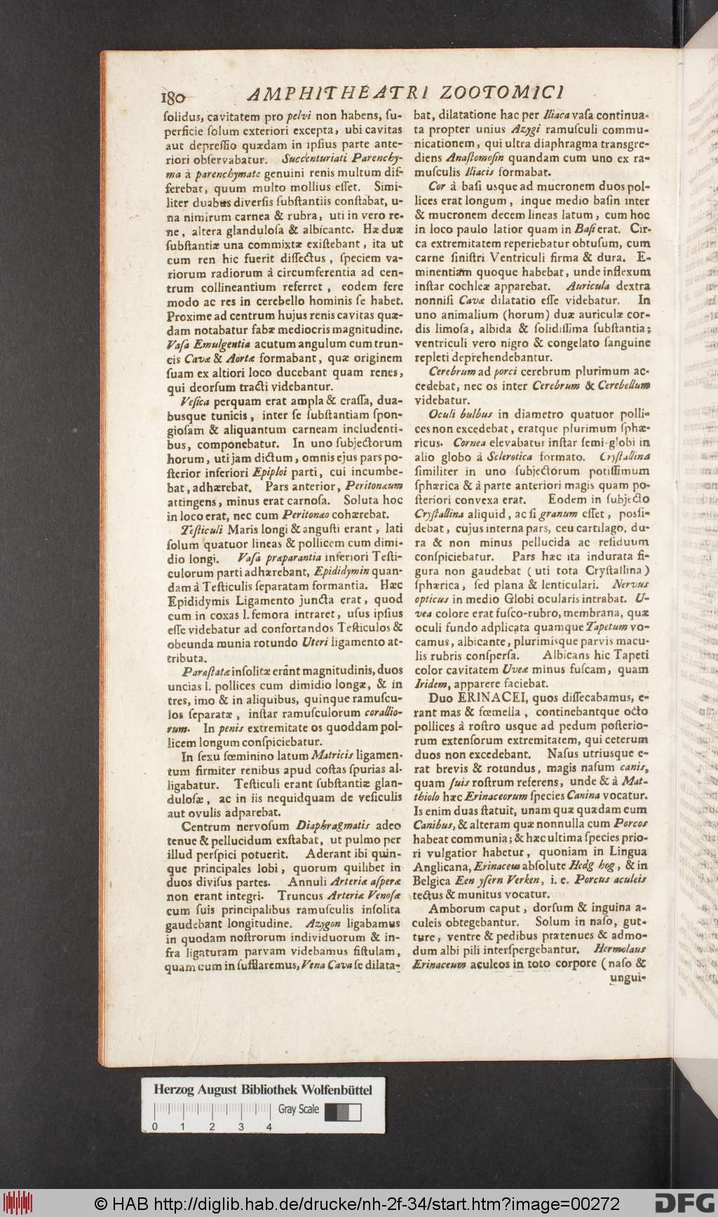 http://diglib.hab.de/drucke/nh-2f-34/00272.jpg