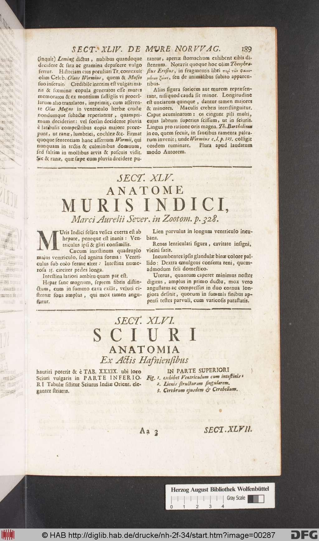 http://diglib.hab.de/drucke/nh-2f-34/00287.jpg