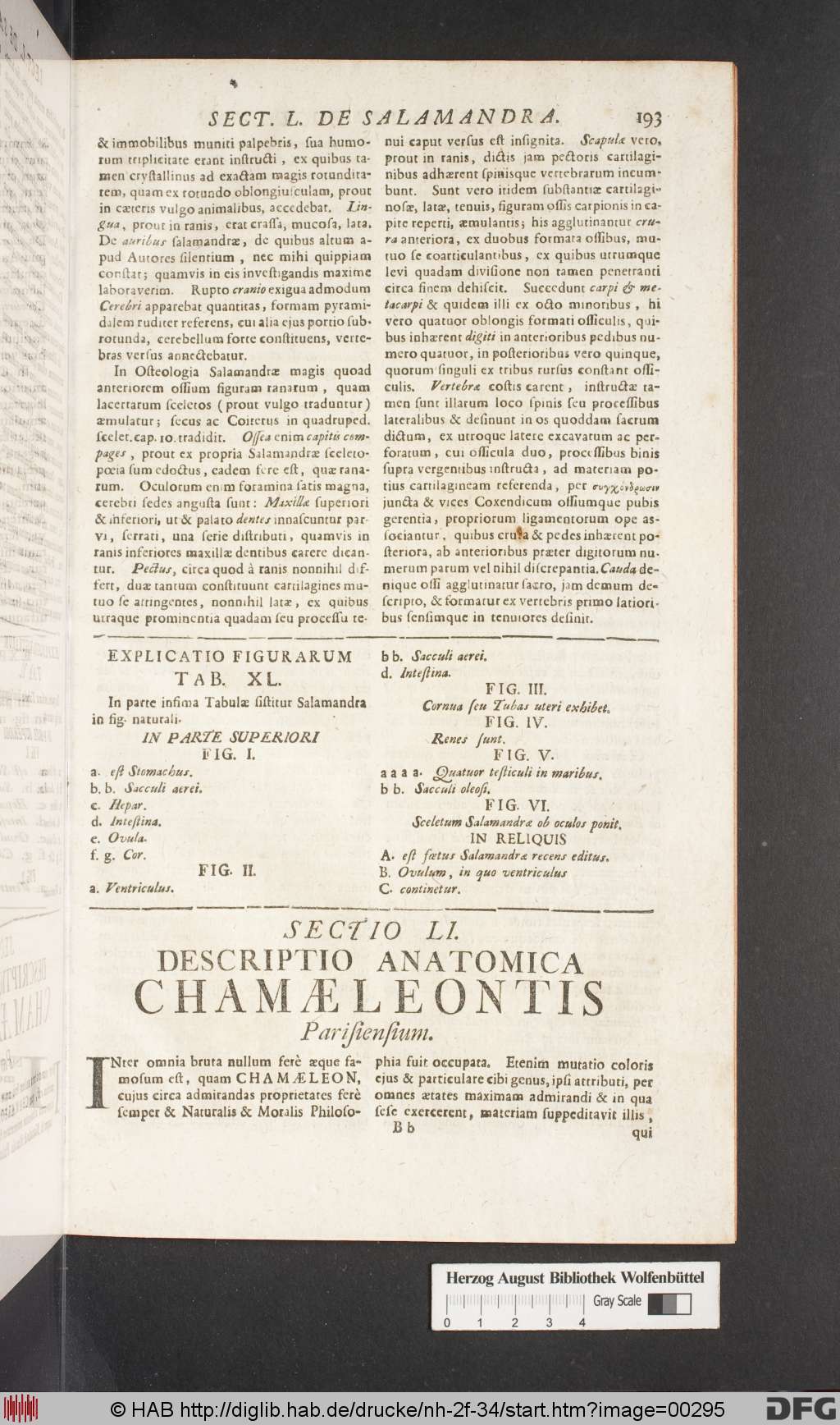 http://diglib.hab.de/drucke/nh-2f-34/00295.jpg