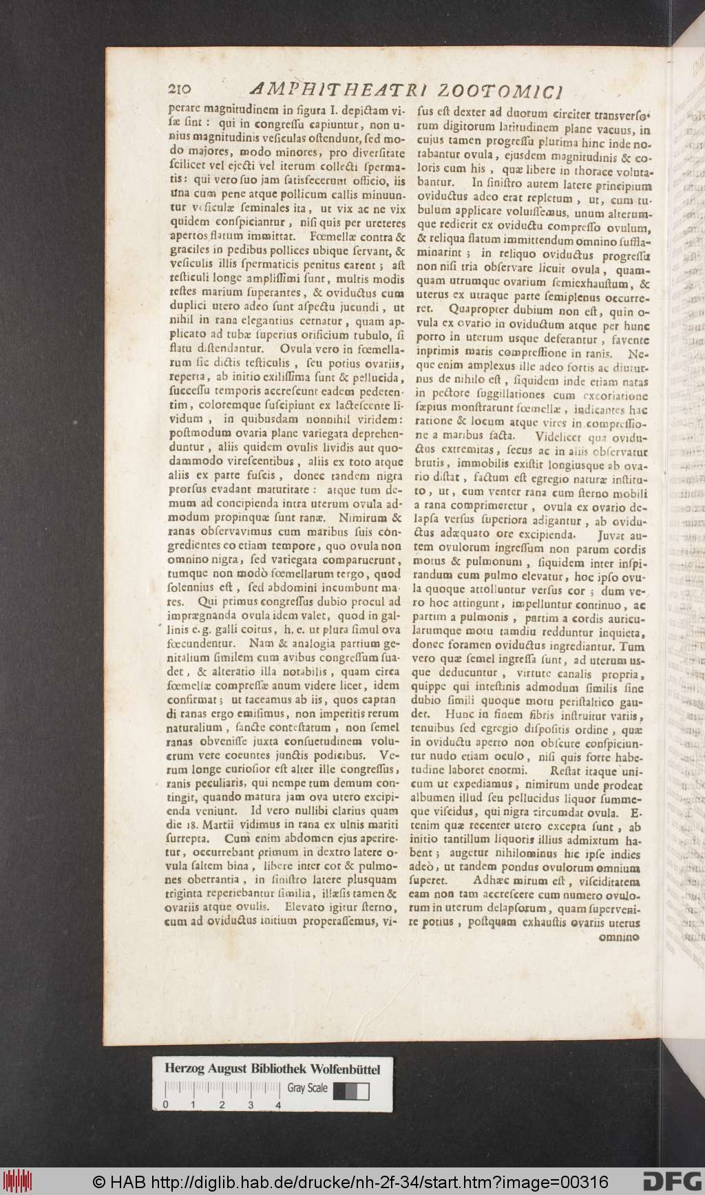 http://diglib.hab.de/drucke/nh-2f-34/00316.jpg