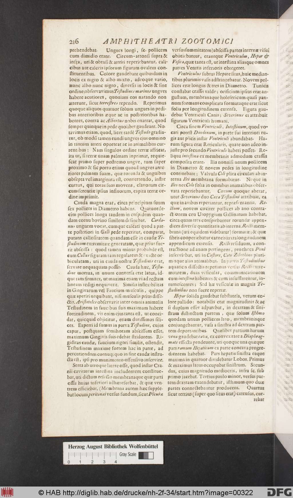 http://diglib.hab.de/drucke/nh-2f-34/00322.jpg