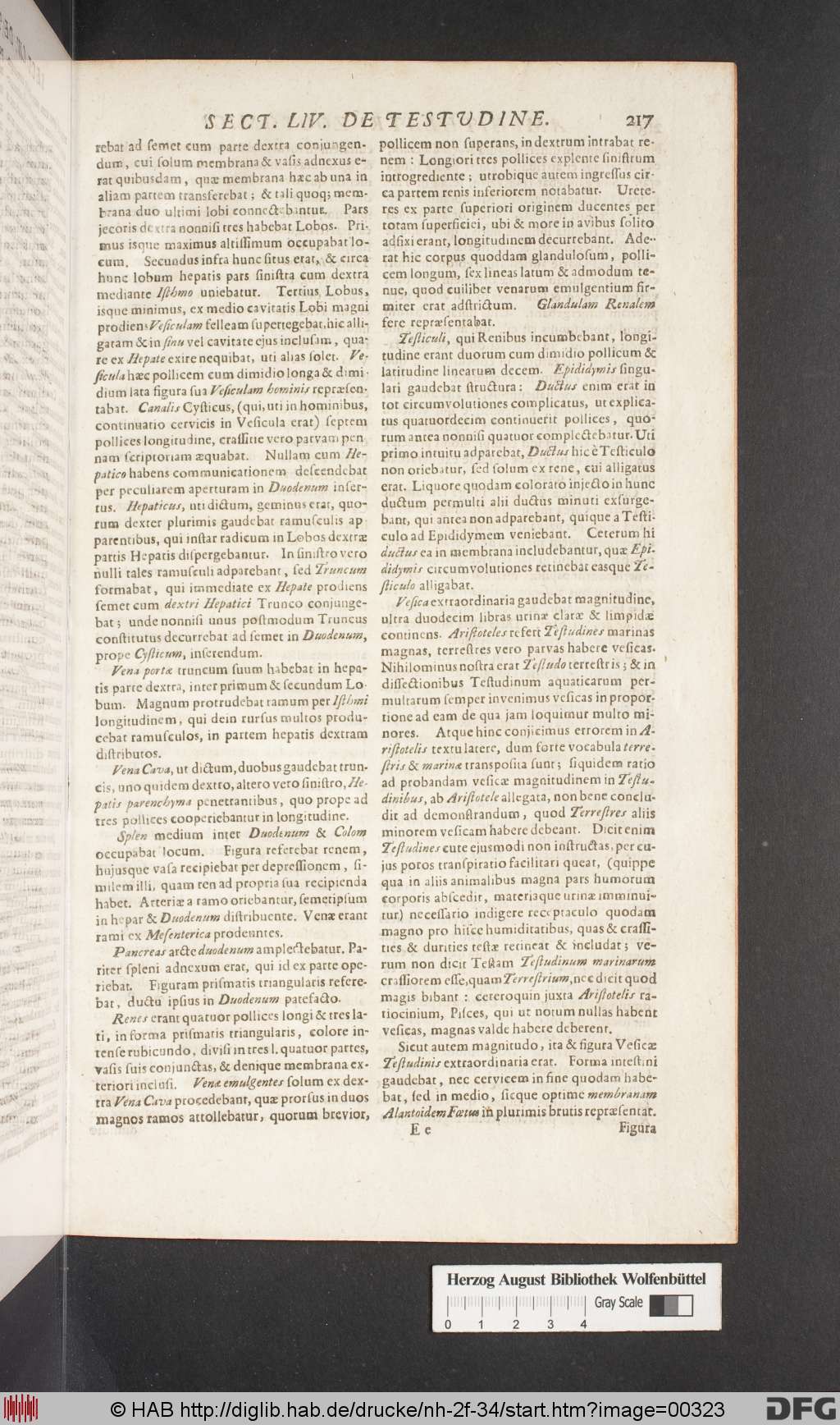 http://diglib.hab.de/drucke/nh-2f-34/00323.jpg