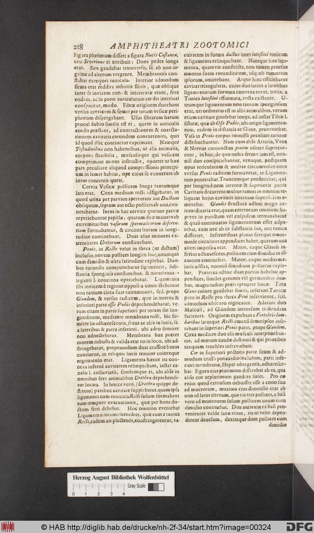 http://diglib.hab.de/drucke/nh-2f-34/00324.jpg