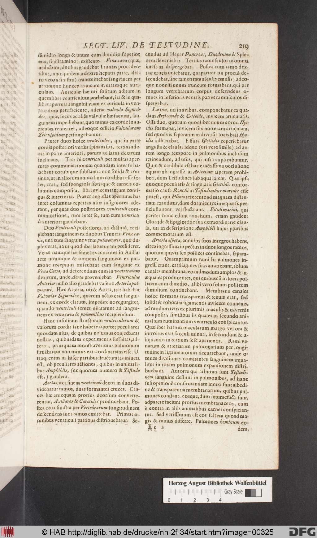 http://diglib.hab.de/drucke/nh-2f-34/00325.jpg