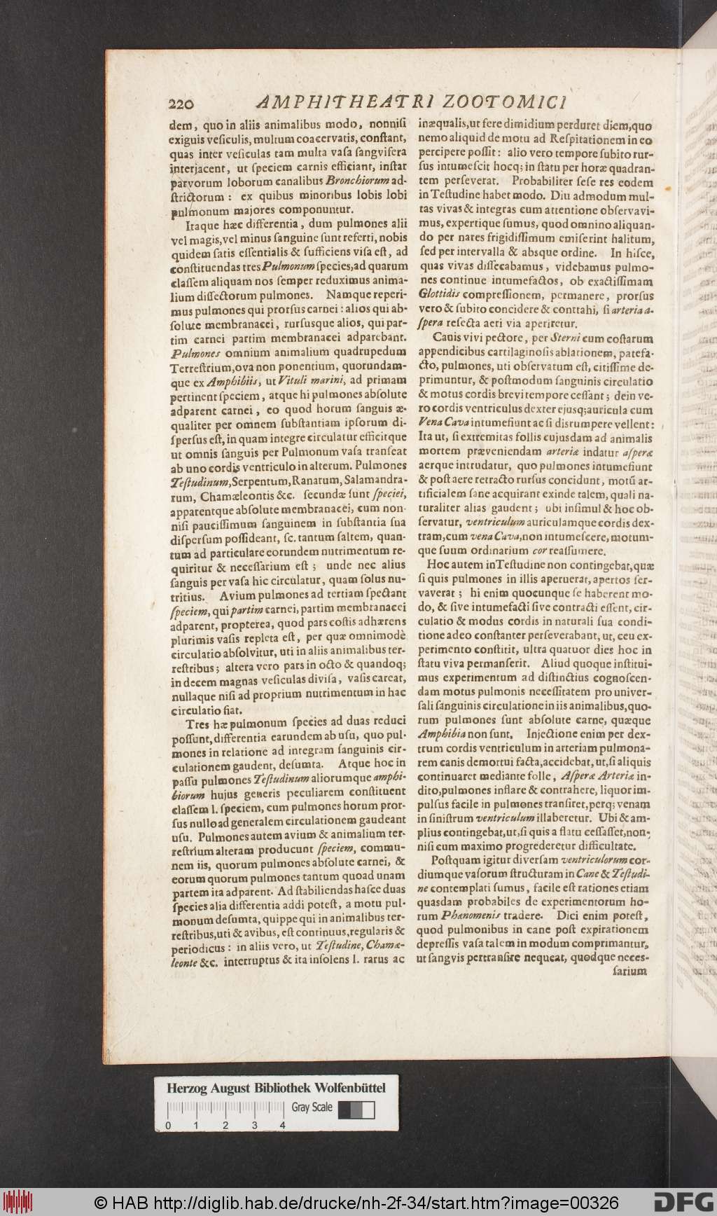 http://diglib.hab.de/drucke/nh-2f-34/00326.jpg