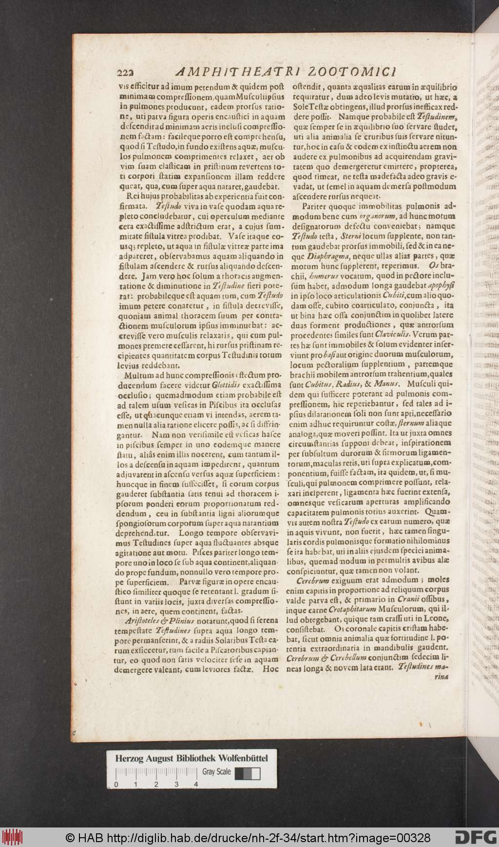 http://diglib.hab.de/drucke/nh-2f-34/00328.jpg
