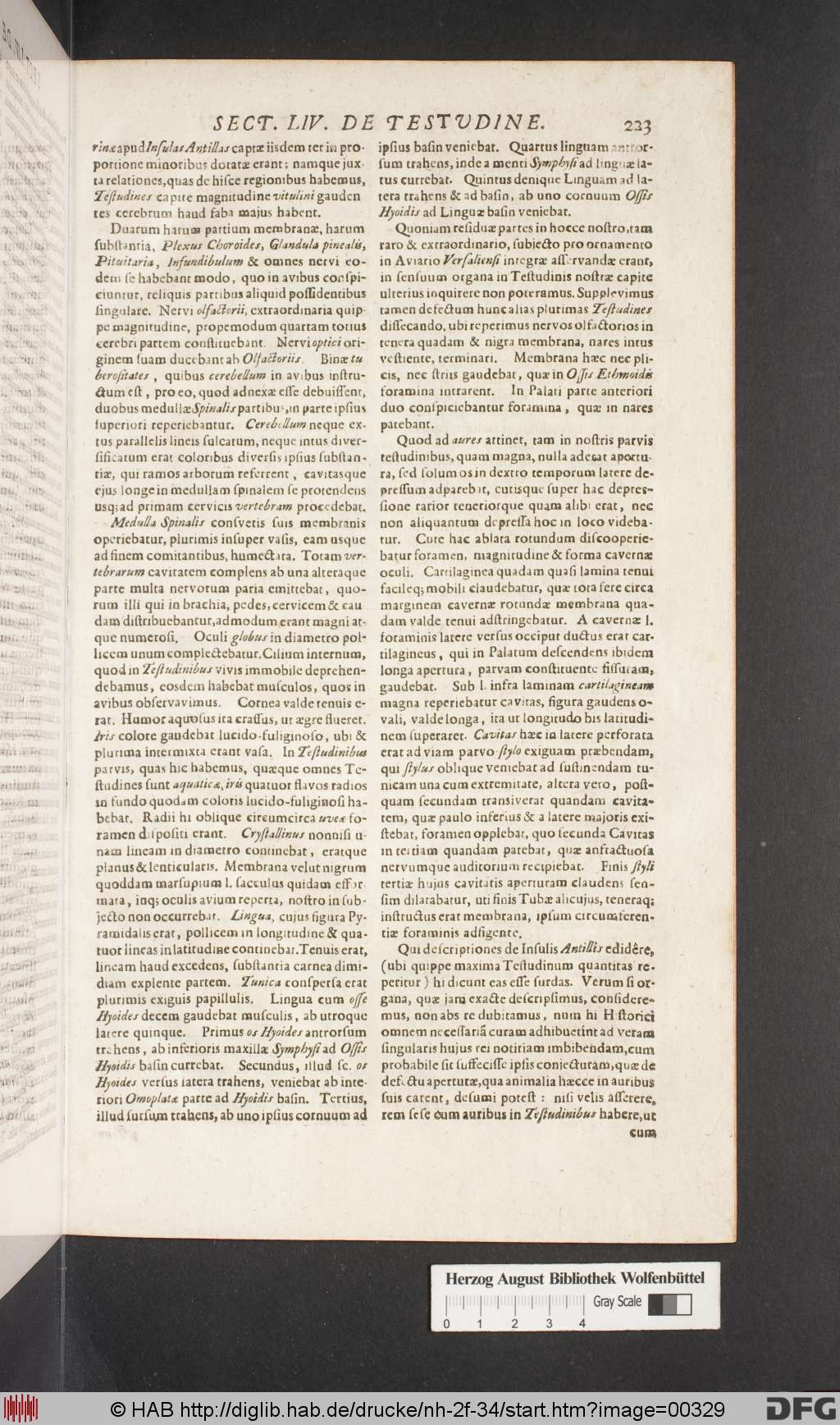 http://diglib.hab.de/drucke/nh-2f-34/00329.jpg