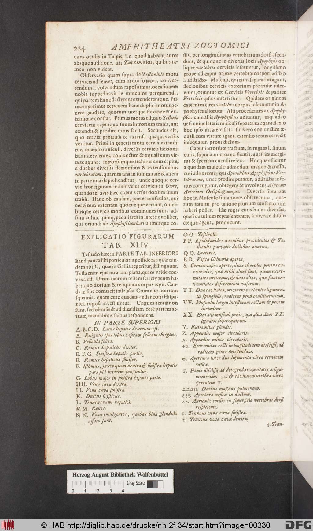 http://diglib.hab.de/drucke/nh-2f-34/00330.jpg