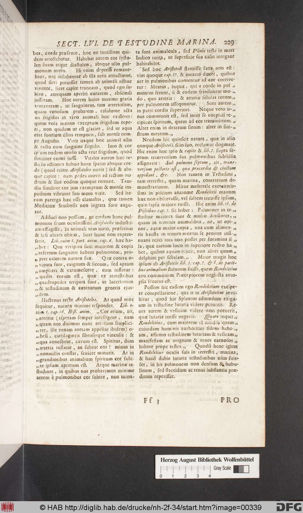 http://diglib.hab.de/drucke/nh-2f-34/00339.jpg