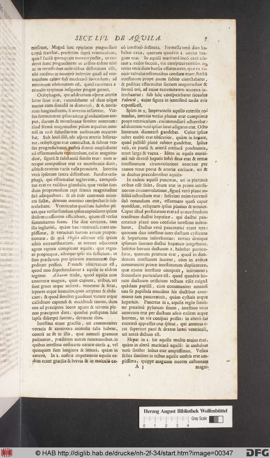 http://diglib.hab.de/drucke/nh-2f-34/00347.jpg