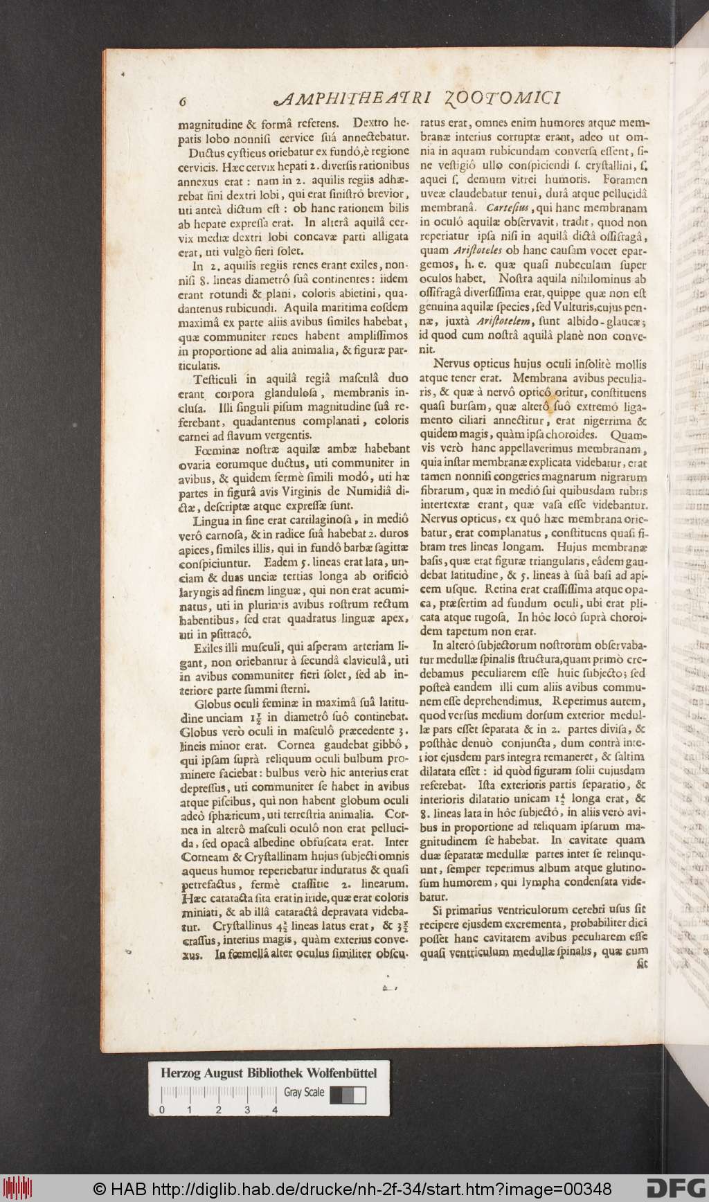 http://diglib.hab.de/drucke/nh-2f-34/00348.jpg