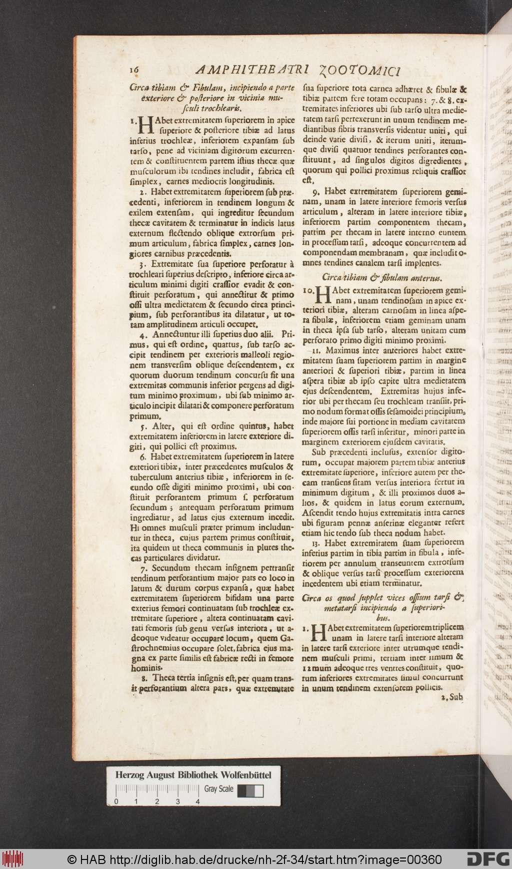 http://diglib.hab.de/drucke/nh-2f-34/00360.jpg