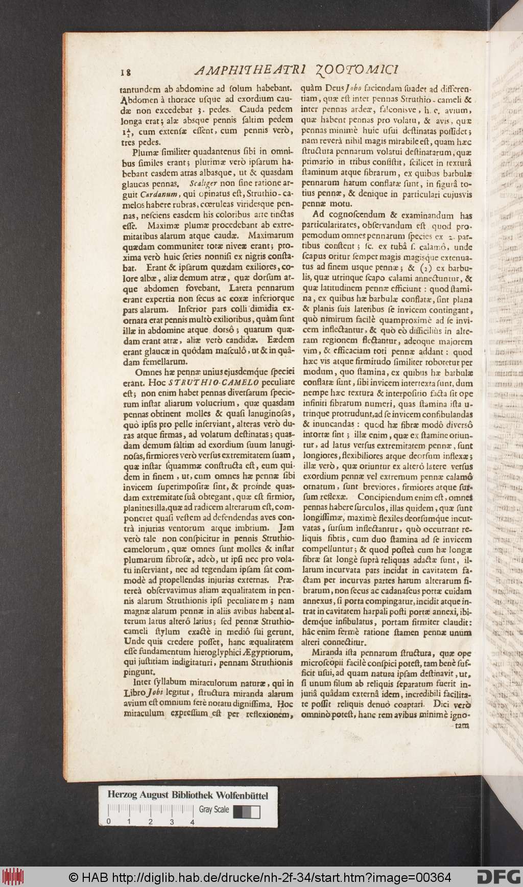 http://diglib.hab.de/drucke/nh-2f-34/00364.jpg