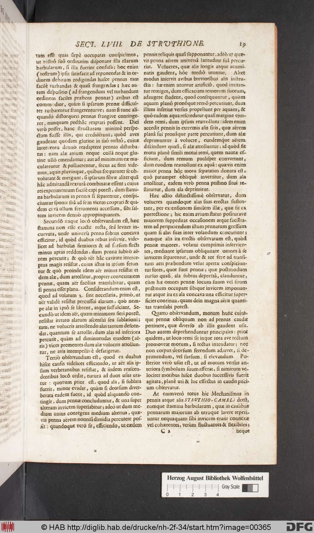 http://diglib.hab.de/drucke/nh-2f-34/00365.jpg