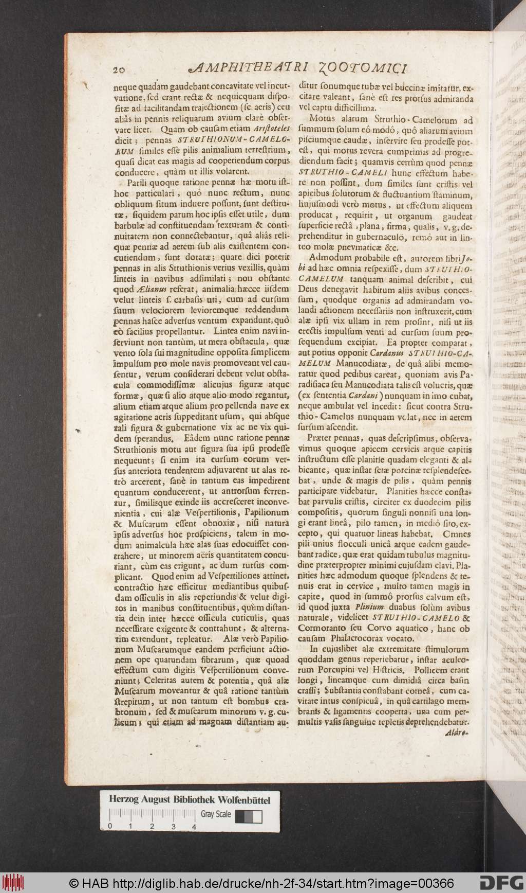 http://diglib.hab.de/drucke/nh-2f-34/00366.jpg