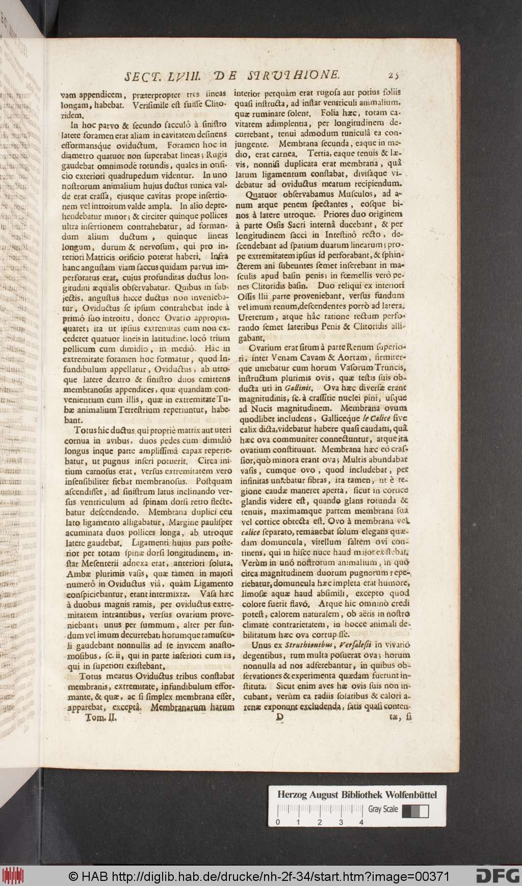 http://diglib.hab.de/drucke/nh-2f-34/00371.jpg