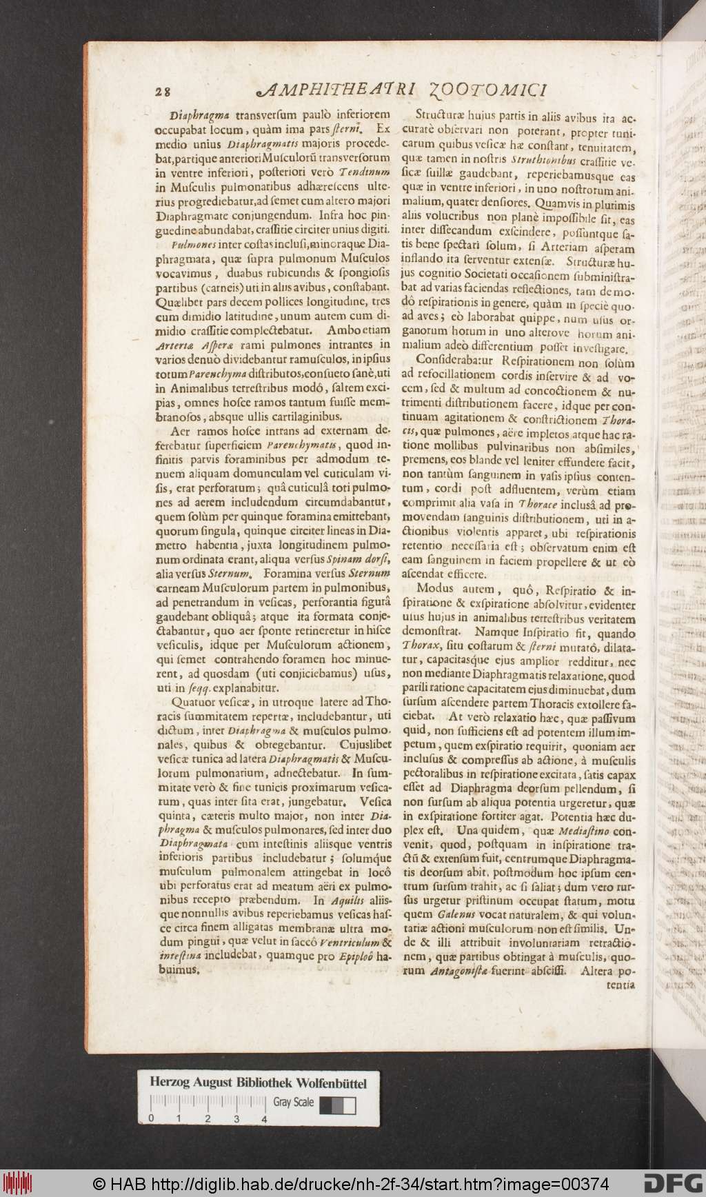 http://diglib.hab.de/drucke/nh-2f-34/00374.jpg