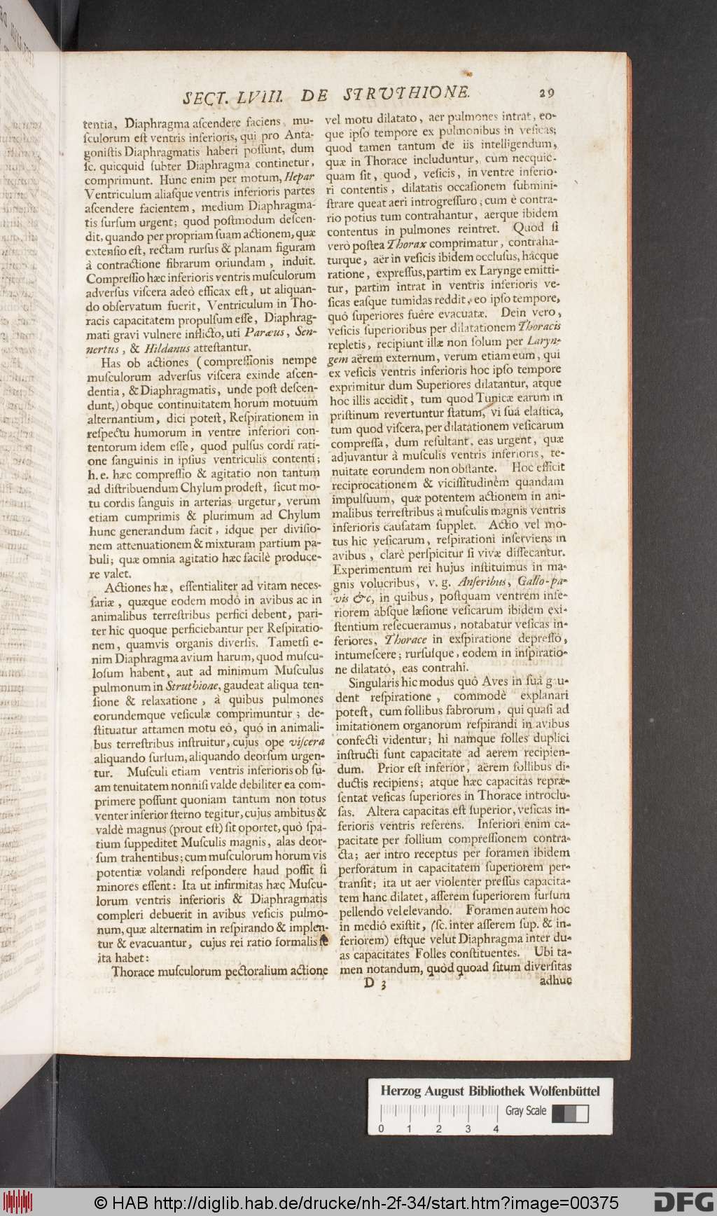 http://diglib.hab.de/drucke/nh-2f-34/00375.jpg