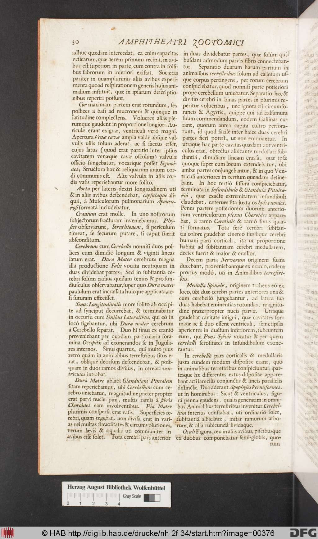 http://diglib.hab.de/drucke/nh-2f-34/00376.jpg