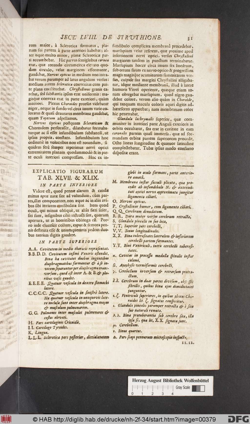 http://diglib.hab.de/drucke/nh-2f-34/00379.jpg