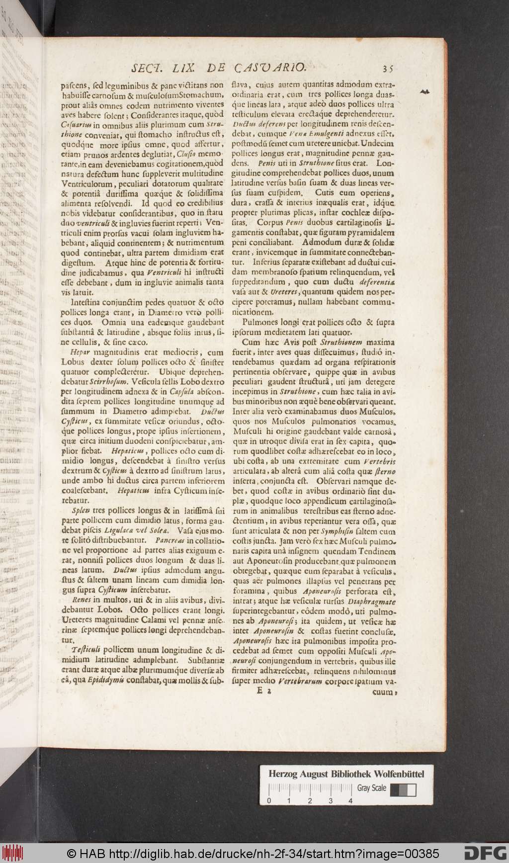 http://diglib.hab.de/drucke/nh-2f-34/00385.jpg