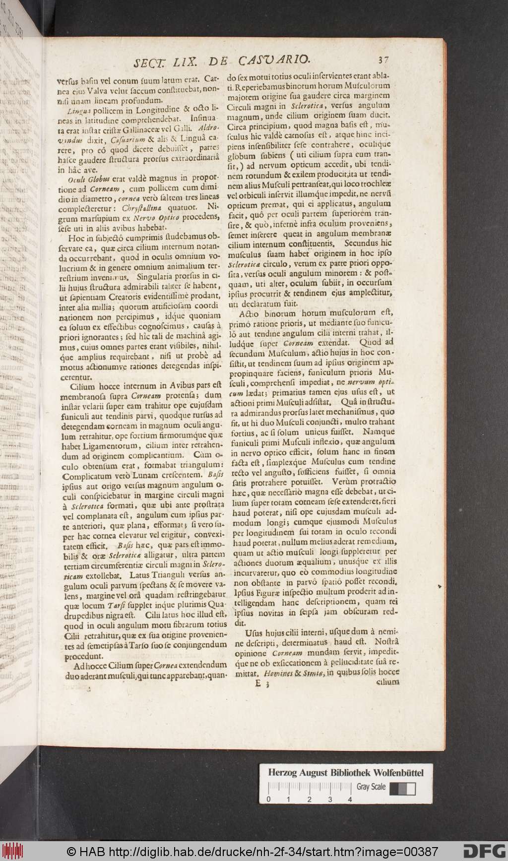 http://diglib.hab.de/drucke/nh-2f-34/00387.jpg